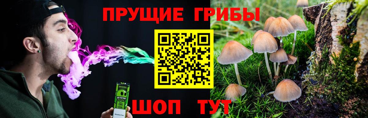 Псилоцибиновые грибы мухоморы Вязьма
